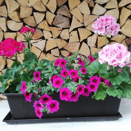 Appartment Moser Alpbach Exterior foto