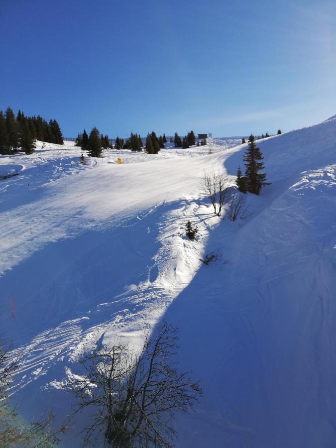 Appartment Moser Alpbach Exterior foto